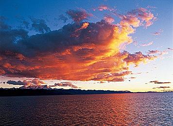 降低预期？今年的夏季游戏节将专注于已公布游戏